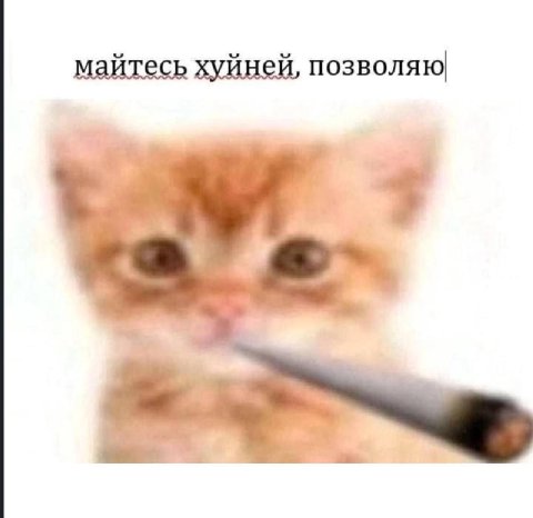 майтесь хуйней, позволяю в