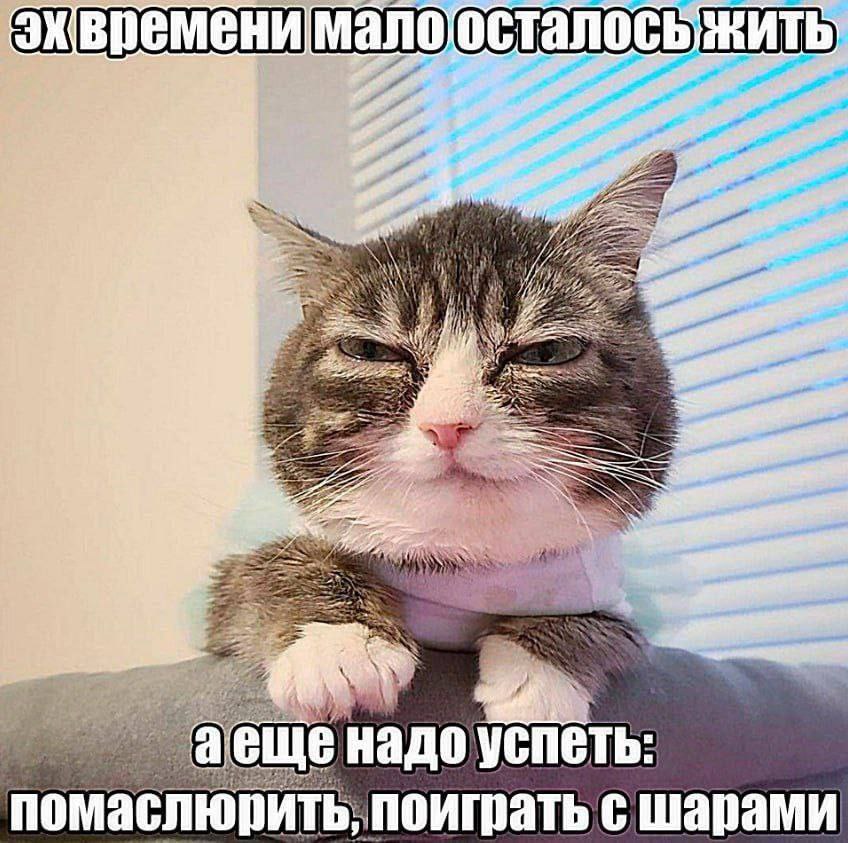 малоосталосьжить 7; 7 A¢ a еще надоуспет nom A сшарами