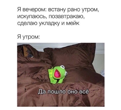 Я вечером: встану рано утром, искупаюсь, позавтракаю, сделаю укладку и мейк Я утром о