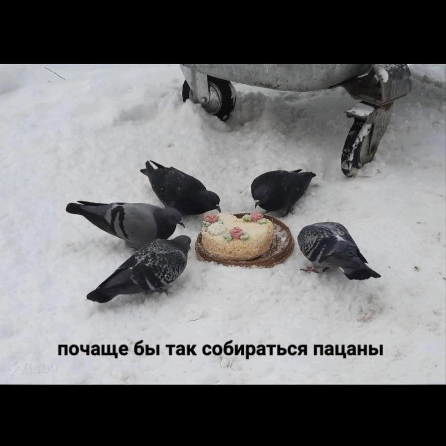 7 почаще бы так собираться пацаны