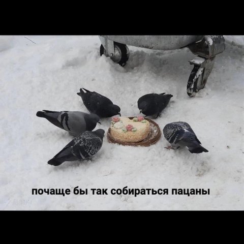 7 почаще бы так собираться пацаны