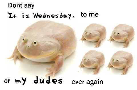 Dont say is Wednesday, tome or mY everagain
