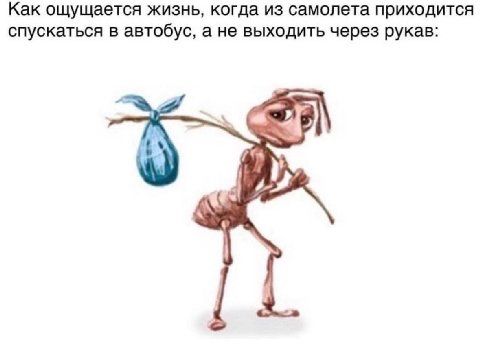 Как ощущается жизнь, когда из самолета приходится спускаться в автобус, а не выходить через рукав: