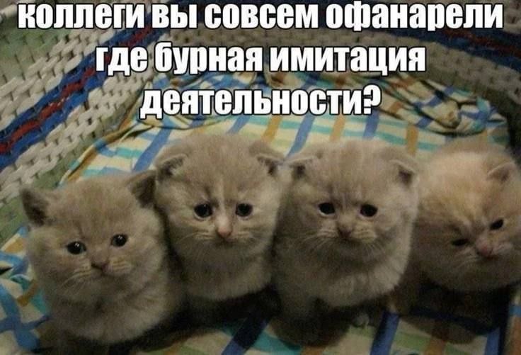 где лайки