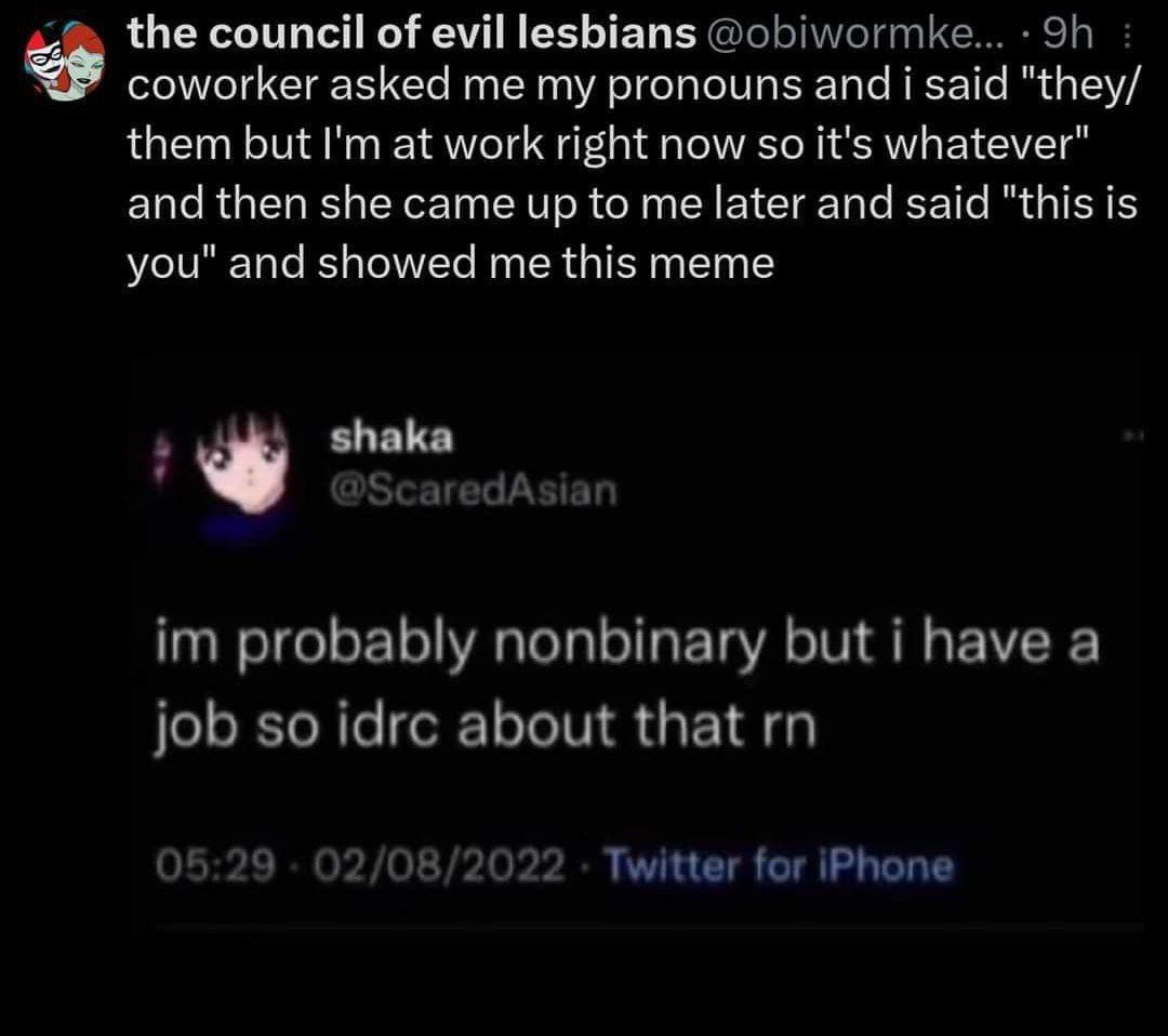 the council of evil lesbians coworker asked me my pronouns and i said "{Веу/ them but at work right now so it's whatever" and then she came up to me later ancl said "this is you" and showed me this me
