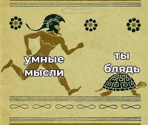 умные тЫ В блядь мысли 779 2% IPN и On 7