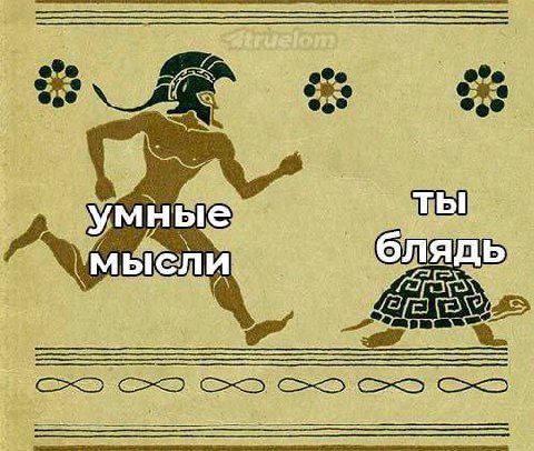 умные тЫ В блядь мысли 779 2% IPN и On 7