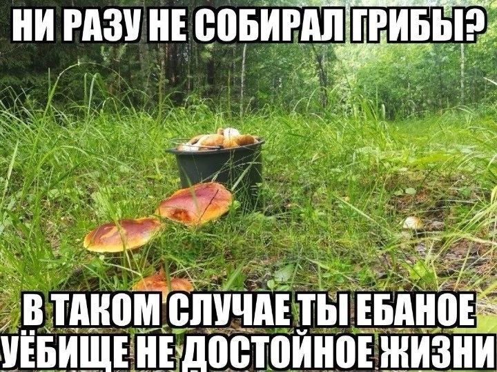 НЕ СОБИРАЛ ТАКОМ' СЛУЧАЕ ты ЕБАНОЕ УЕБИЩЕ НЕДОСТОЙНОЕ
