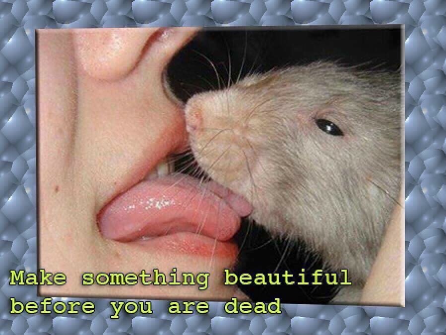 Make something beautiful before you are