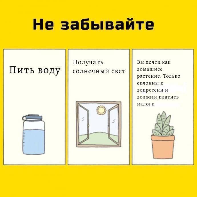 Не забывайте Получать Вы почти как солнечный свет домашнее Пить воду растение. Только склонны депрессии и должны платить налоги