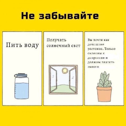 Не забывайте Получать Вы почти как солнечный свет домашнее Пить воду растение. Только склонны депрессии и должны платить налоги