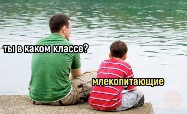 aT классе