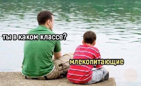 aT классе