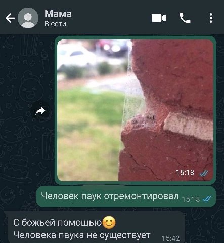 Мама В сети 15:18 Человек паук отремонтировал С божьей помощью Человека паука не существует