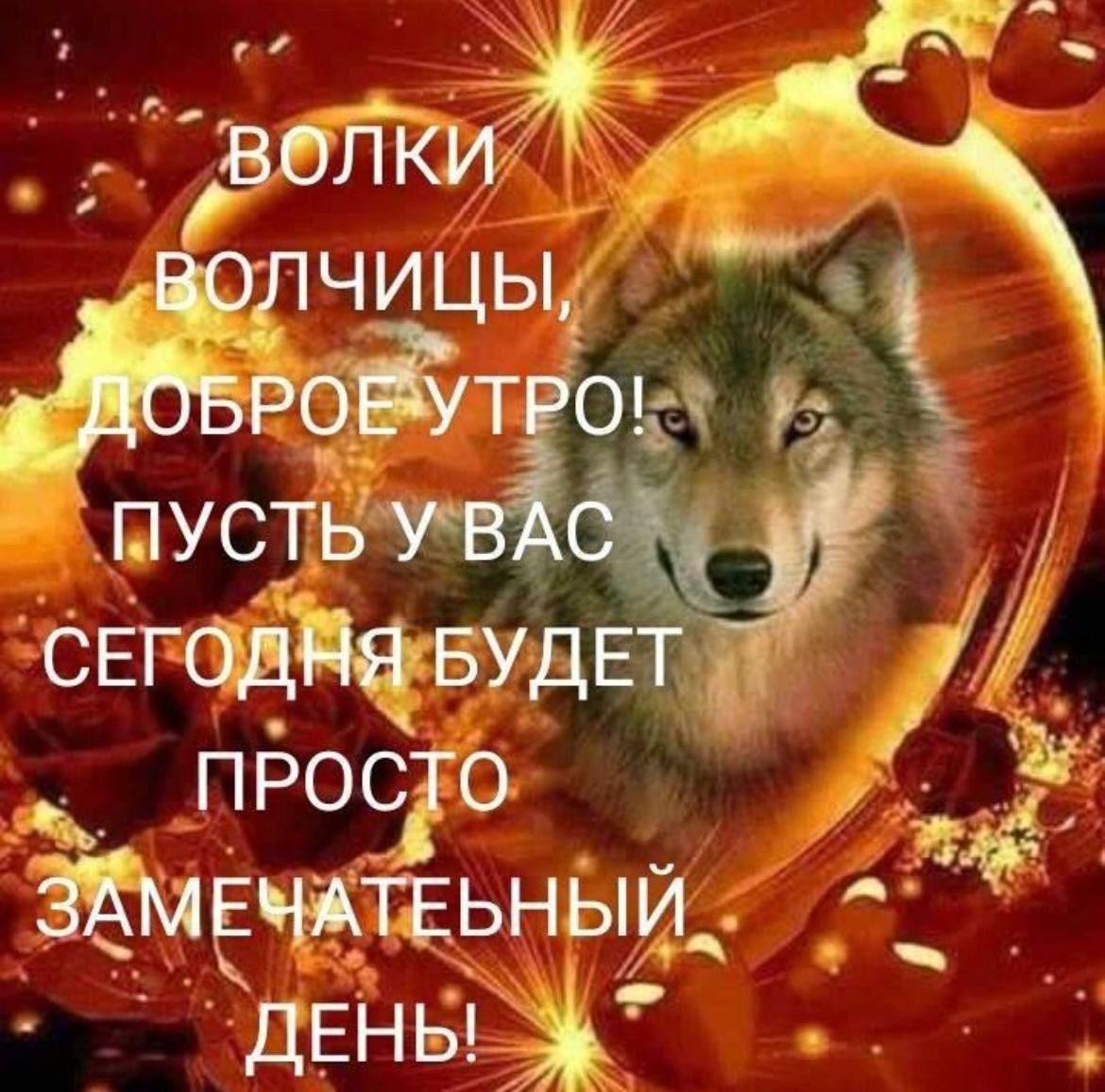 „волки волчицы Б POE*YTPO! BAC СЕГОДНЯ БУДЕТ ПРОСТО ЗАМЕЧАТЕБНЫЙ ДЕНЫ