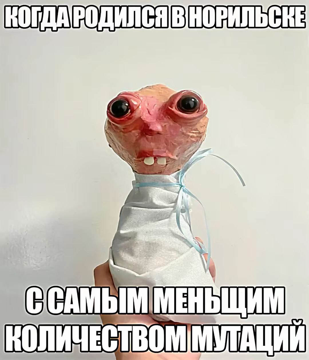 КОГДАРОДИЛСЯ В НОРИЛЬСКЕ CAM УТАЦИИ