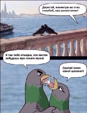 Дорогой, посмотри на этих голубей, как романтично! у Я так тебя отжарю, что мигом забудешь про своего мужа! Сделай меня своей шлюхой!