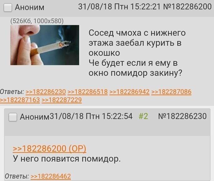 Аноним 31/08/18 Птн 15:22:21 №182286200 Сосед чмоха с нижнего этажа заебал курить в [4 окошко Че будет если я ему в окно помидор закину? Ответы: >>182286230 >>182286518 >>182286942 >>182287086 >>18228