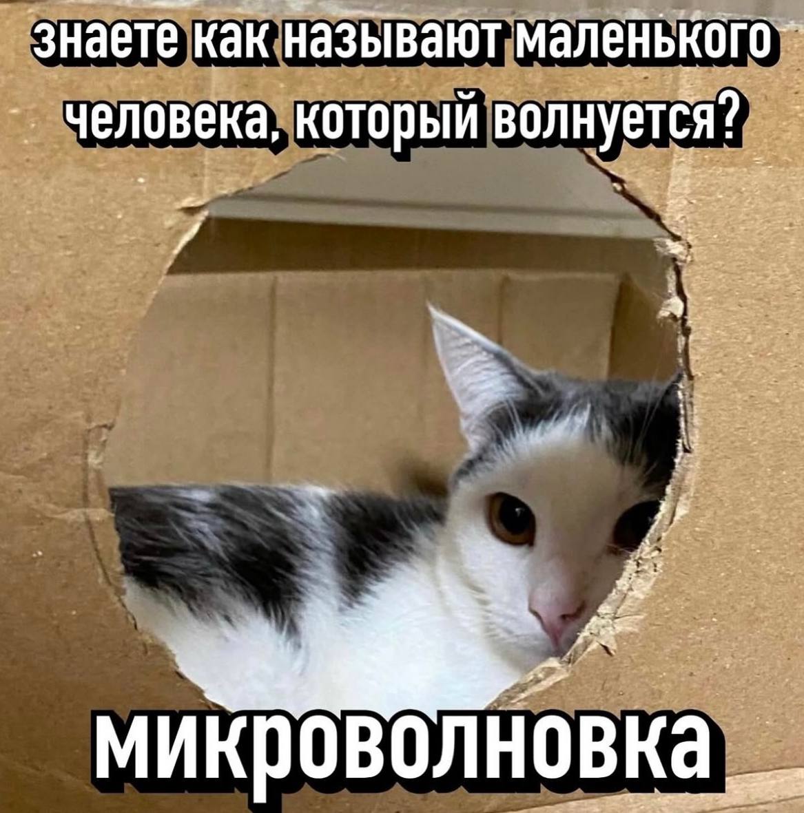 знаете как называют маленького- человека, который микроволновка