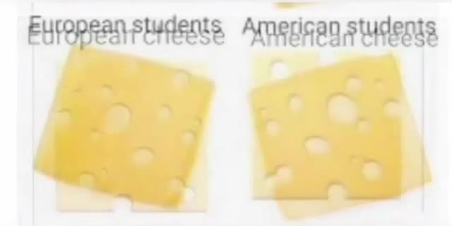 European cheese American cheese FUPOPRA PLUS Areeinan УЧЕТ European students American students