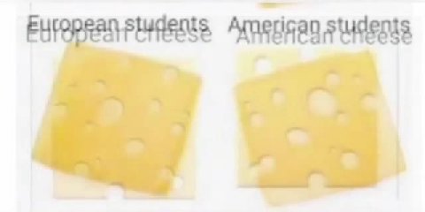 European cheese American cheese FUPOPRA PLUS Areeinan УЧЕТ European students American students