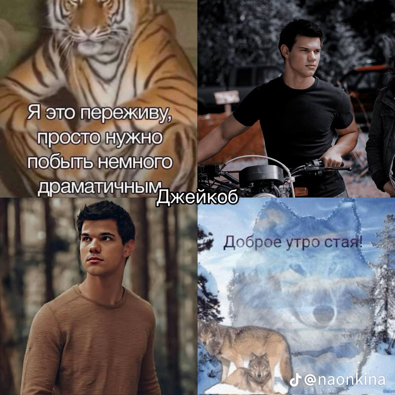 Я это переживу, просто нужно побыть немного драматичны Джейкоб Доб