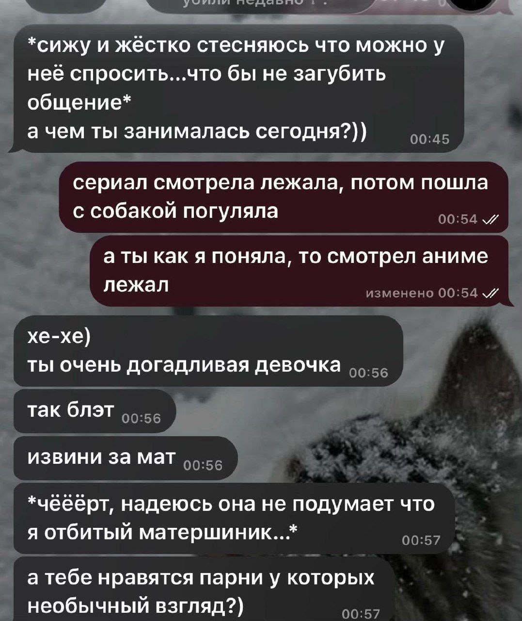 *сижу и жёстко стесняюсь что можно у неё спросить...что бы не загубить общение* а чем ты занималась сегодня?)) соль сериал смотрела лежала, потом пошла с собакой погуляла аты как я поняла, то смотрел 
