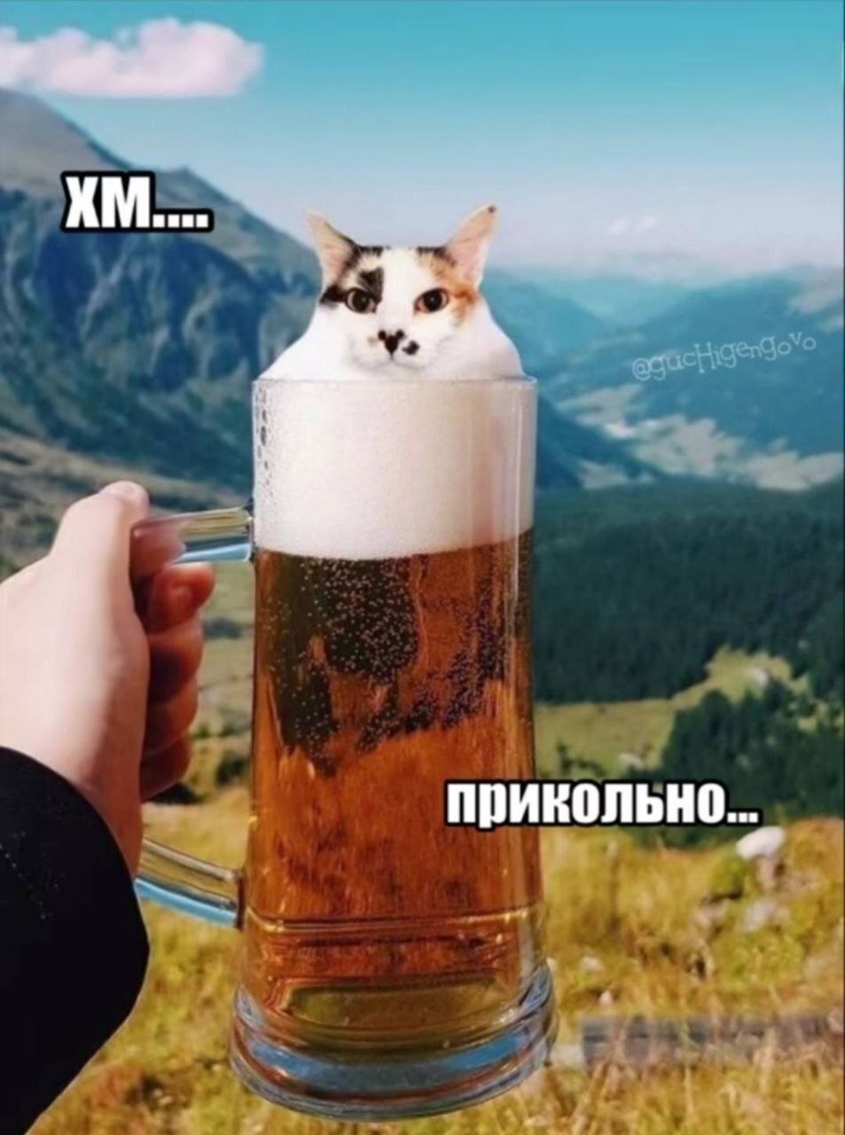 прикольно