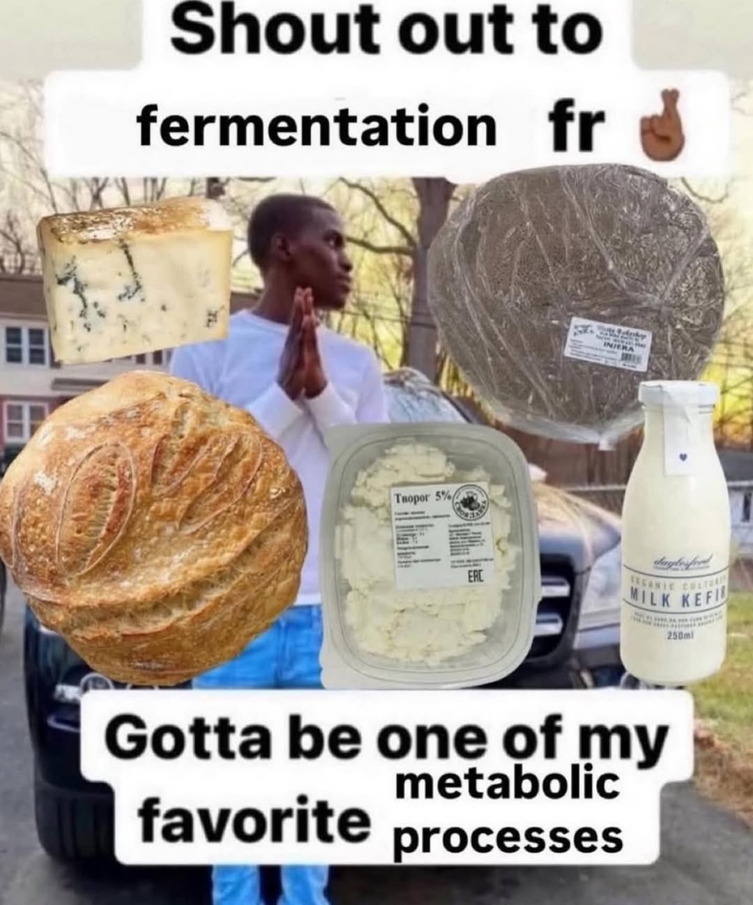 Shout out to fermentat a у Творог be one of metabolic favorite processes