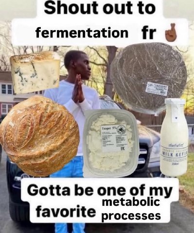 Shout out to fermentat a у Творог be one of metabolic favorite processes