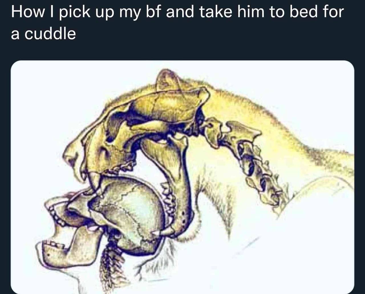 How pick up my and take him to bed for a cuddle