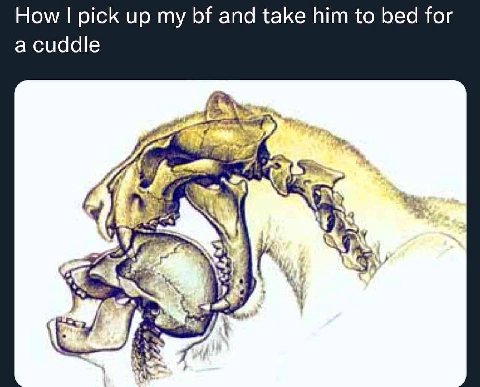 How pick up my and take him to bed for a cuddle