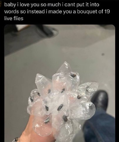 baby i love you so much i cant put it into words so instead i made you a bouquet of 19 live flies 9