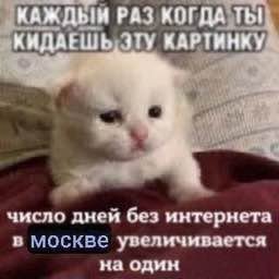 КАЖДЫЙ РАЗ КИДАЕШЬ ЭТУ КАРТИНКУ число дней без интернета в москве увеличивается на один