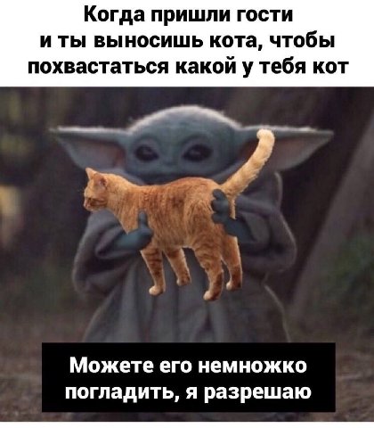 Когда пришли гости иты выносишь кота, чтобы похвастаться какой у тебя кот Можете его немножко погладить, я разрешаю