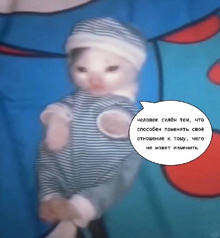 человек силён тем, что способен поменять своё отношение к тому, чего не может изменить