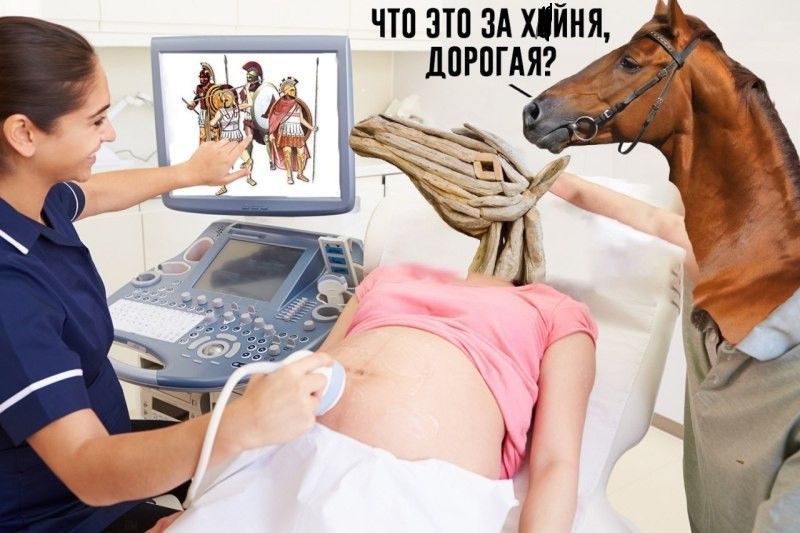 ЧТО ЭТО ЗА ХМИНЯ, ДОРОГАЯ?