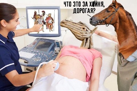 ЧТО ЭТО ЗА ХМИНЯ, ДОРОГАЯ?