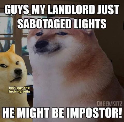 GUYS MY LANDLORD JUST SABOTAGED LIGHTS fucking bills just pay the HE MIGHT BE IMPOSTOR!