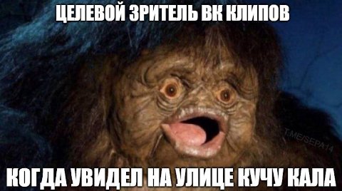 ЦЕЛЕВОЙ ЗРИТЕЛЬ КЛИПОВ КОГДА УВИДЕЛ НА УЛИЦЕ КУЧУ КАЛА