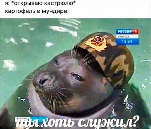я: *открываю кастрюлю* картофель в мундире: хоть служил