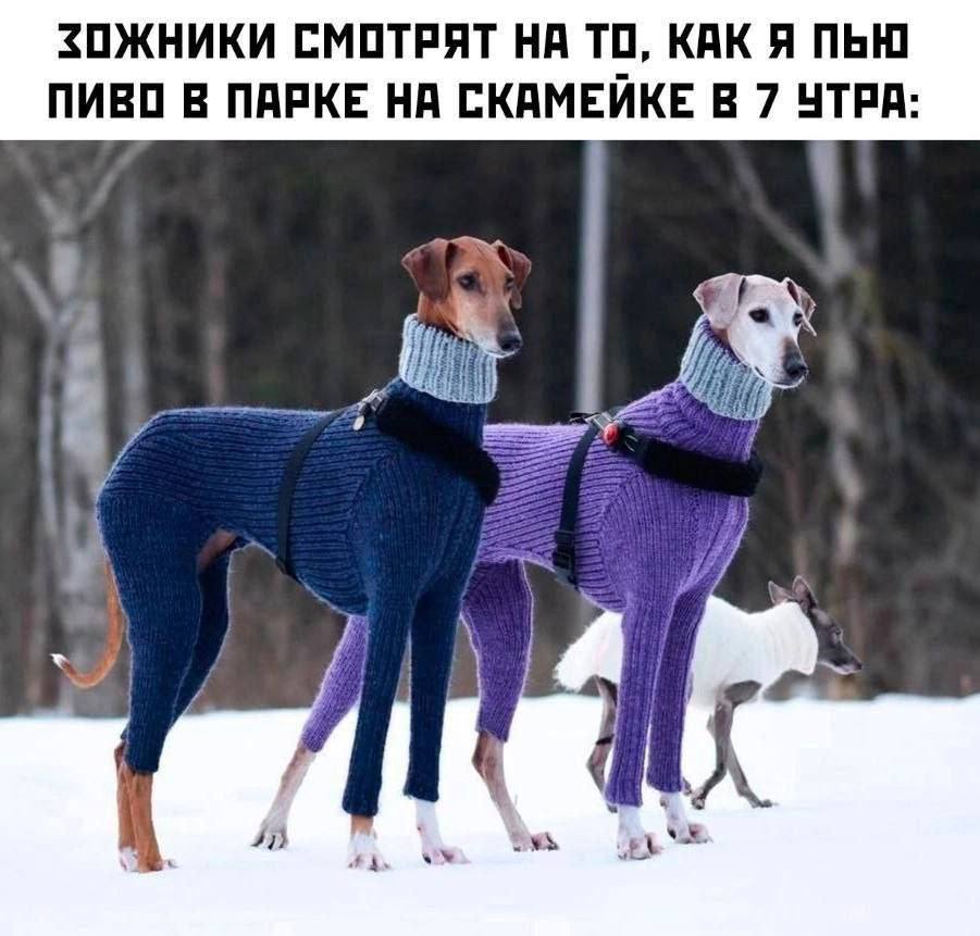 ЗОЖНИКИ СМОТРЯТ НА ТО, КАК Я ПЬЮ ПИВО В ПАРКЕ НА СКАМЕЙКЕ В 7 УТРА А