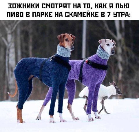 ЗОЖНИКИ СМОТРЯТ НА ТО, КАК Я ПЬЮ ПИВО В ПАРКЕ НА СКАМЕЙКЕ В 7 УТРА А