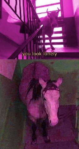 you look lonely