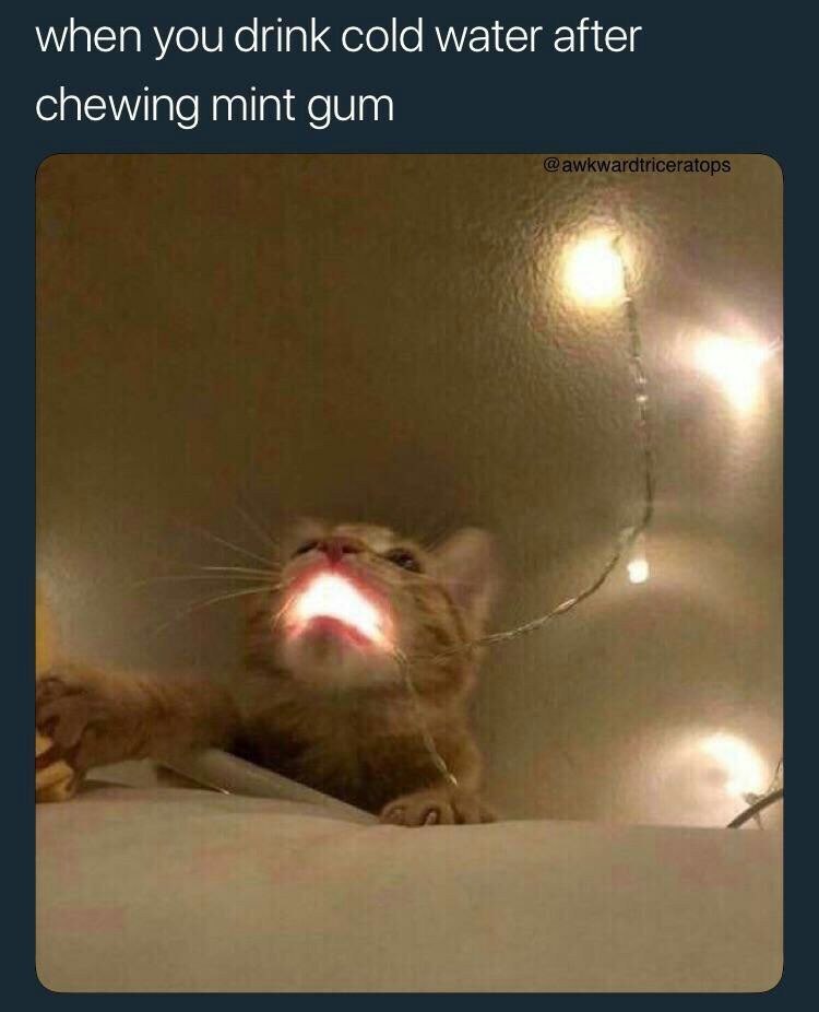 when you drink cold water after chewing mint gum