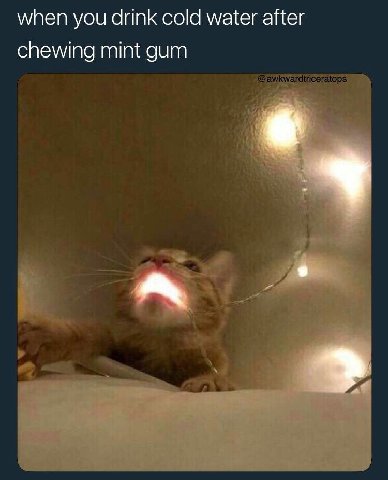 when you drink cold water after chewing mint gum