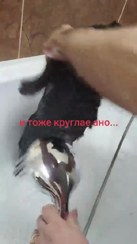 Итоже круглае f