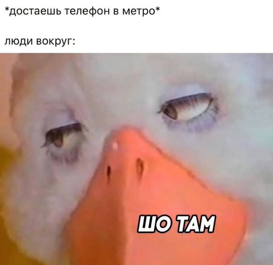 *достаешь телефон в метро* люди вокруг: ТАМ