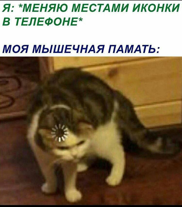 Я: *МЕНЯЮ МЕСТАМИ ИКОНКИ В ТЕЛЕФОНЕ* МОЯ МЫШЕЧНАЯ ПАМАТЬ:
