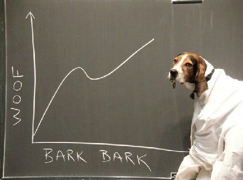 BARK BARK